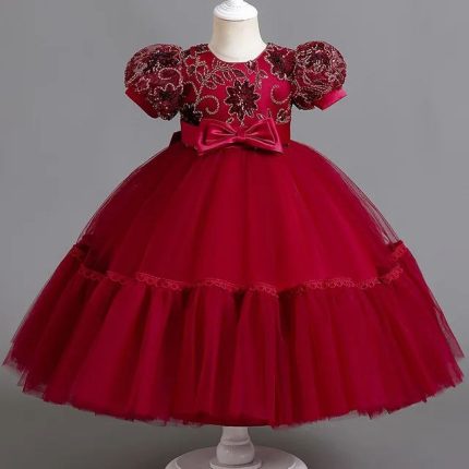 Elegant Wine Red Princess Dress for Girls