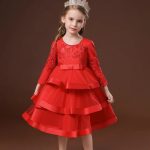 Floral DARK RED Embroidered Tulle Party Dress (2-8 Years)