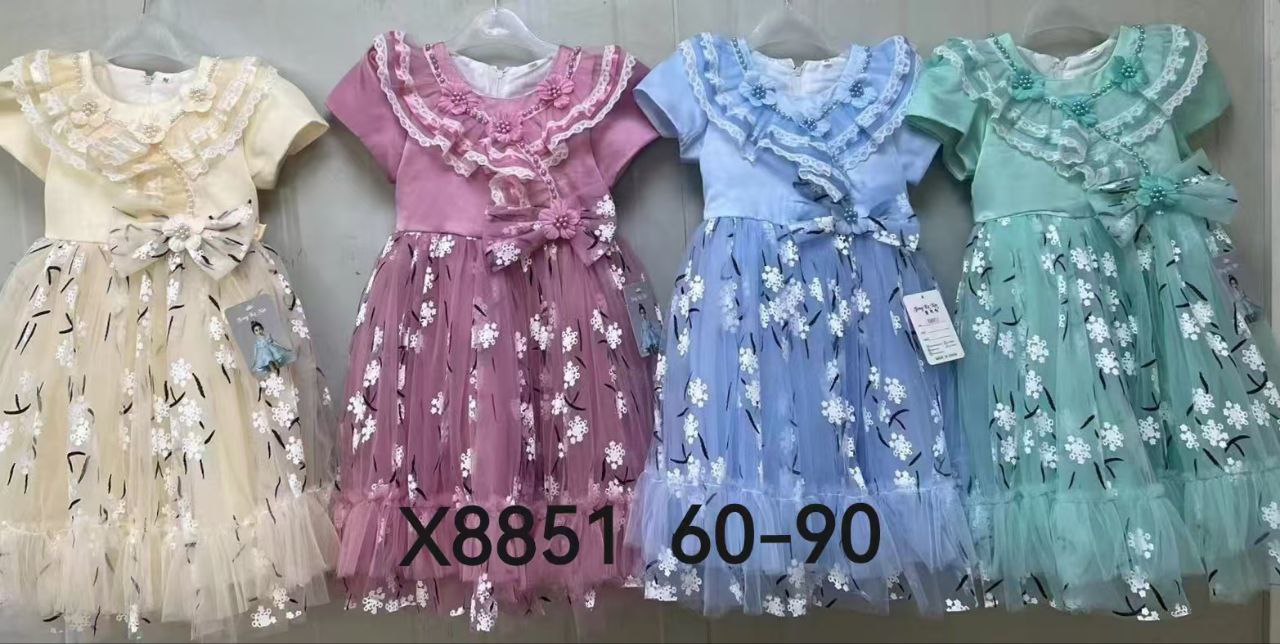 photo_2025-03-02_01-37-23