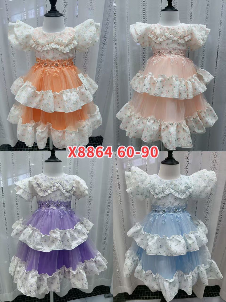 photo_2025-03-02_01-37-29