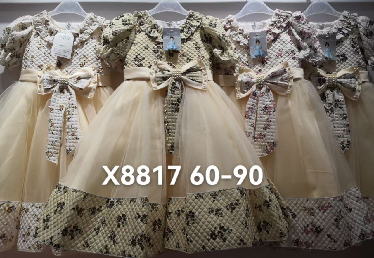 photo_2025-03-02_01-37-43